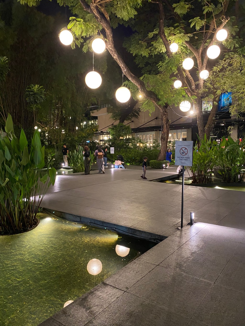 A Zen Moment by Fish Watching at the&nbsp;Mall