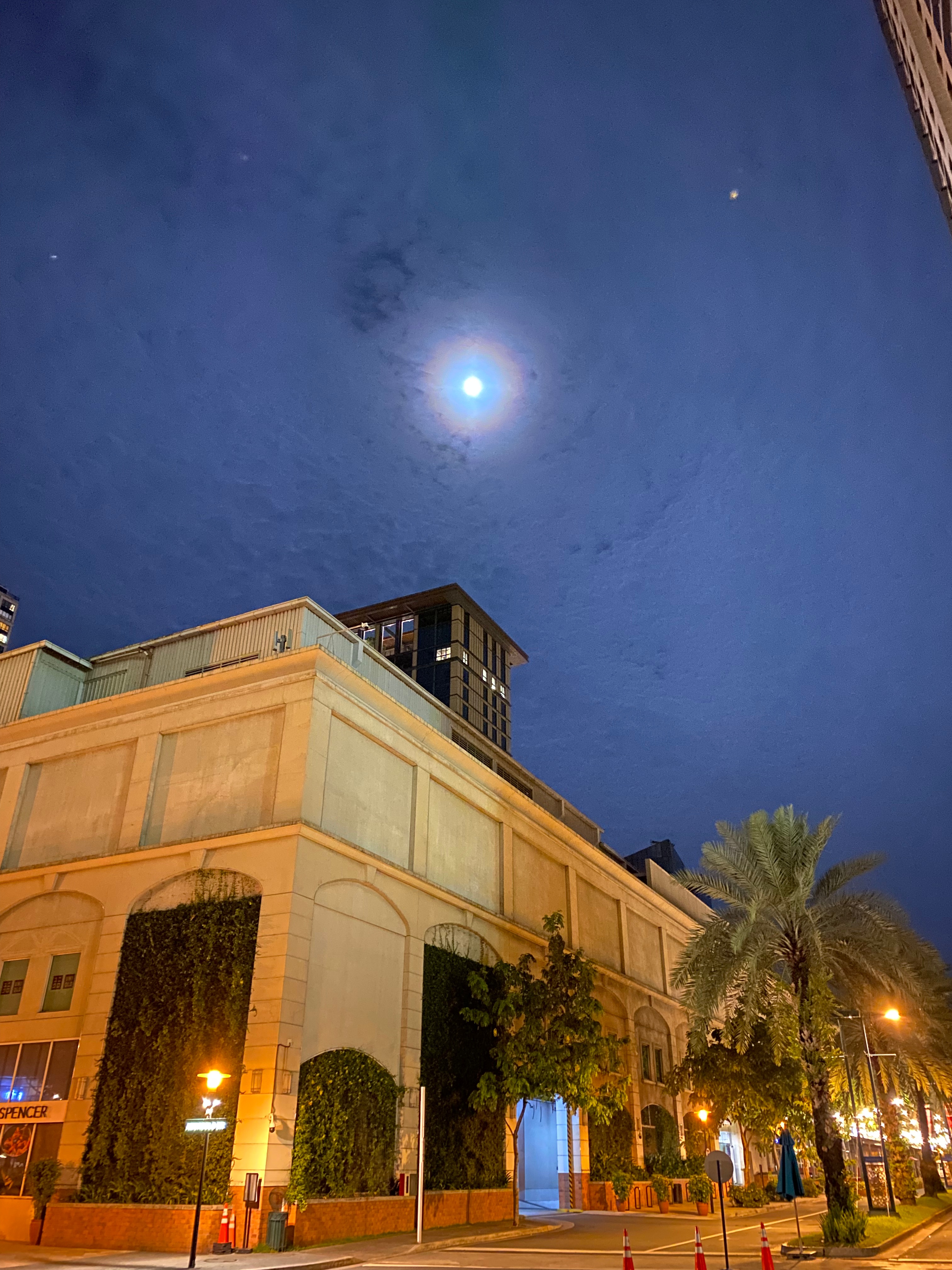 Gazing at The Full Moon