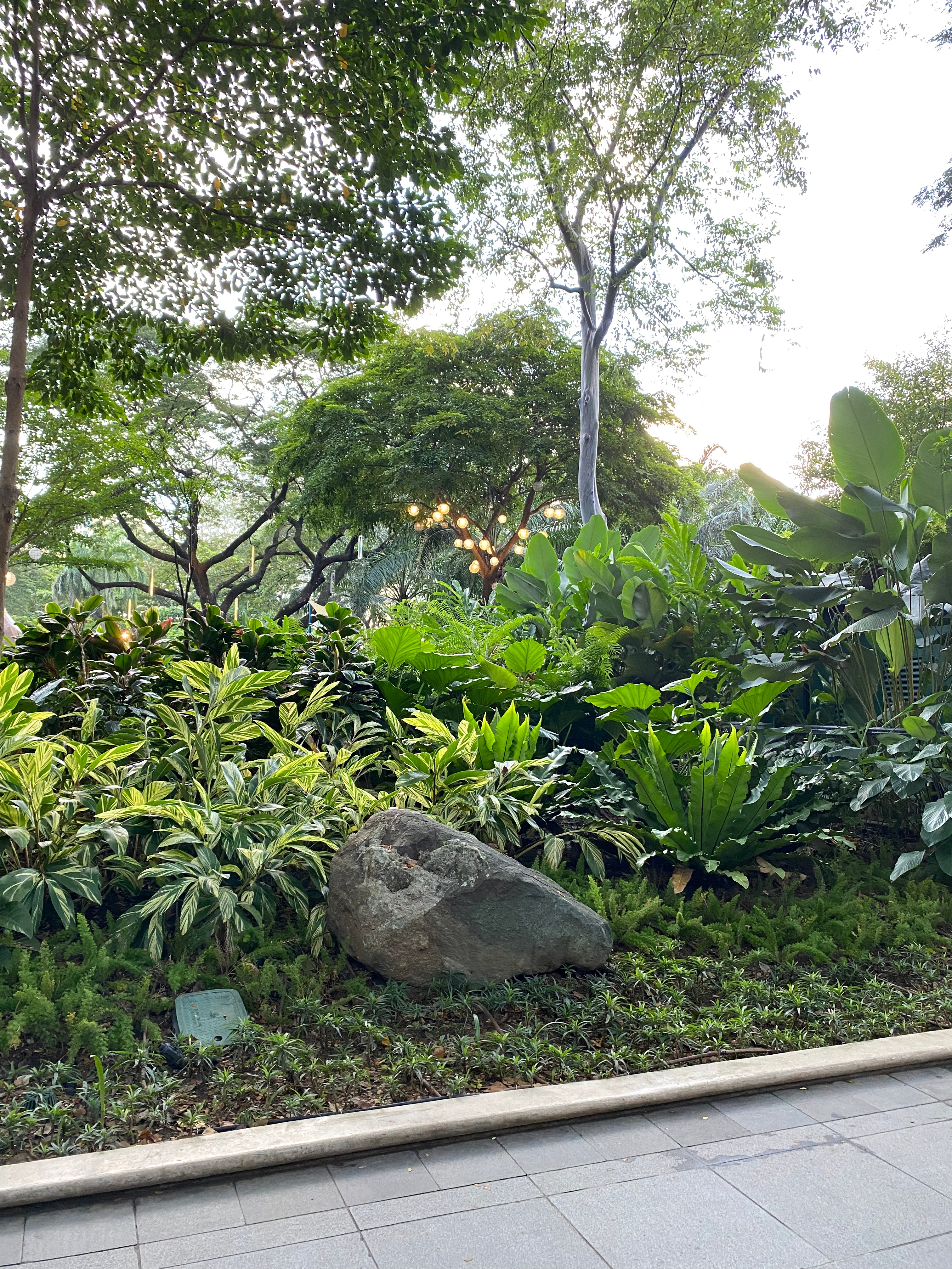 Refreshing My Eyes & My Soul with Greenery