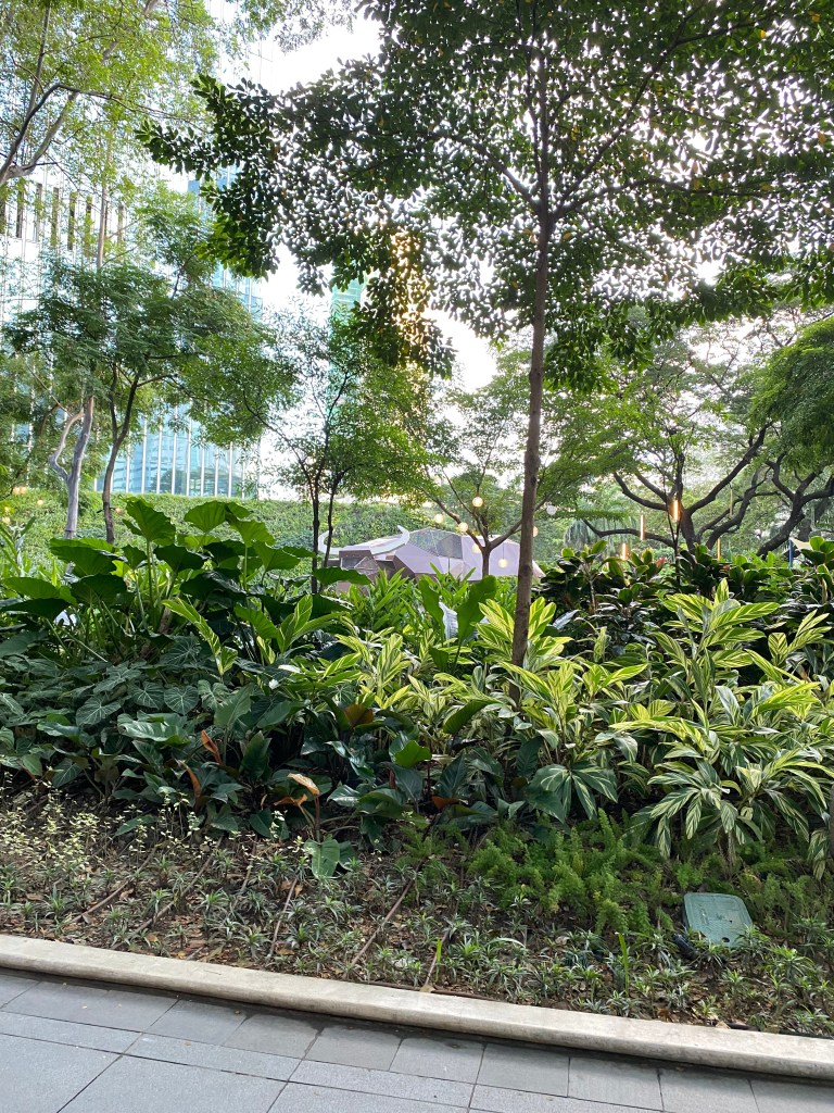 A Sidewalk with Greens