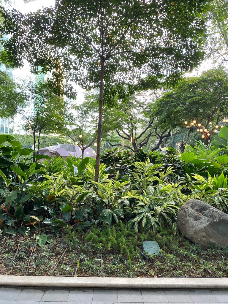 More Green Behind the Bushes