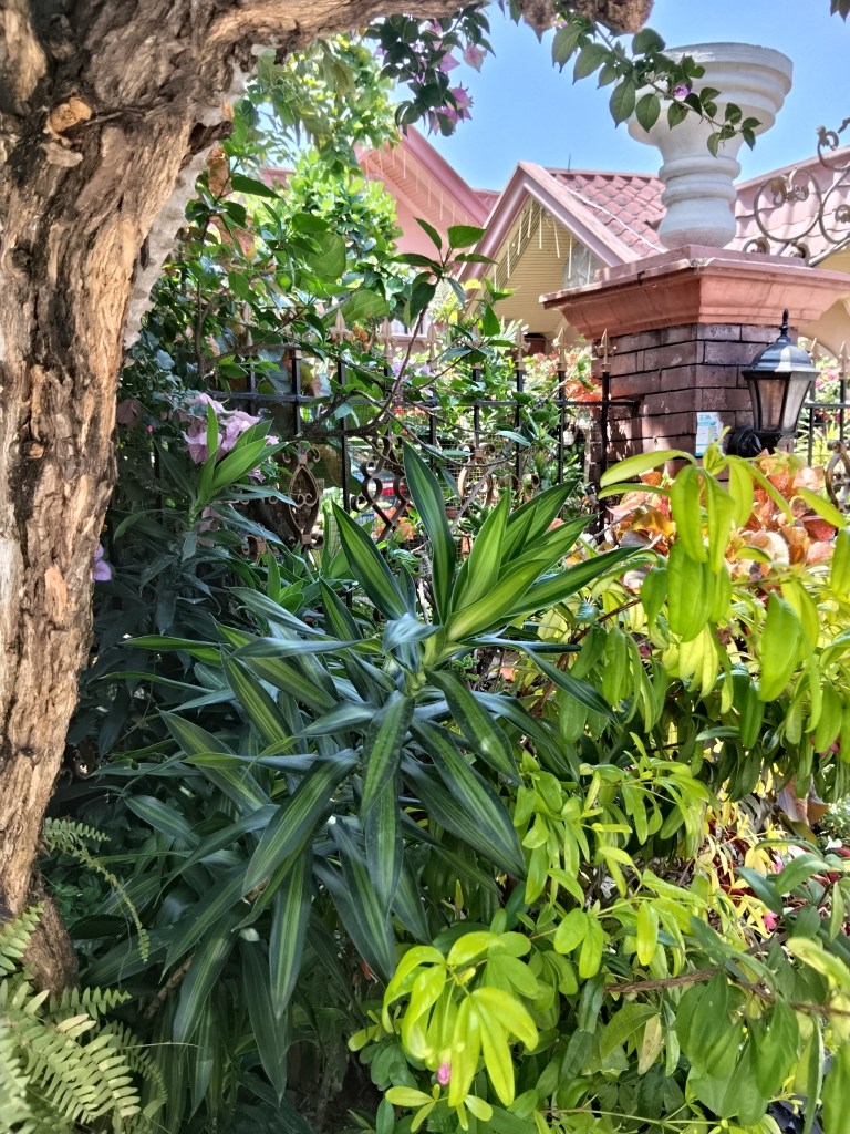 A Garden at The Gate