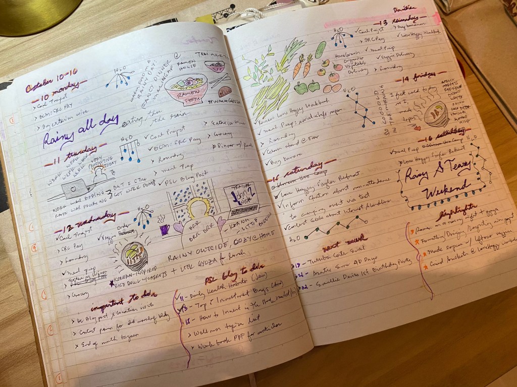 One Week Spread with Drawings and Next Week To Do's